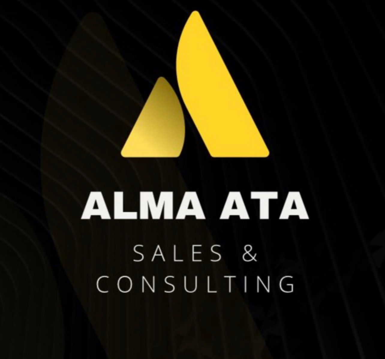 Almaty sales & consulting